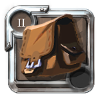 Novice's Bag