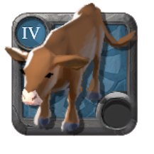 Veau de l'adepte