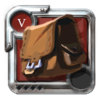 Expert's Bag