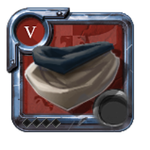 Capuchon de mage de l'expert
