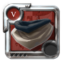 Capuchon de mage de l'expert