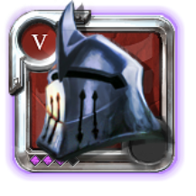 Expert's Guardian Helmet