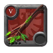 Expert's Nature Staff