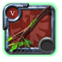 Expert's Nature Staff
