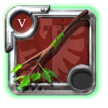 Expert's Nature Staff