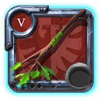 Expert's Nature Staff