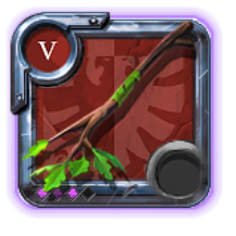 Expert's Nature Staff