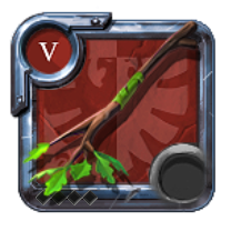 Expert's Nature Staff