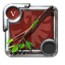 Expert's Nature Staff