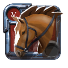 Expert's Riding Horse