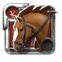 Expert's Riding Horse
