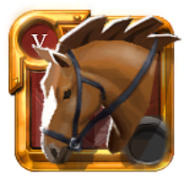 Expert's Riding Horse