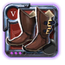 Expert's Hunter Shoes