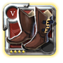 Expert's Hunter Shoes