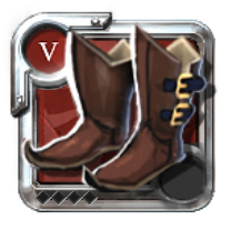 Expert's Hunter Shoes