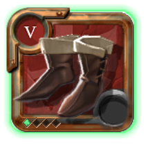 Chaussures d'assassin de l'expert