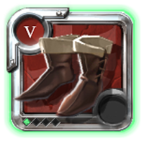 Expert's Assassin Shoes