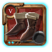 Expert's Assassin Shoes