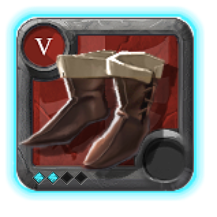 Expert's Assassin Shoes
