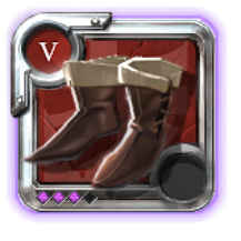 Expert's Assassin Shoes