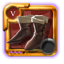 Expert's Assassin Shoes