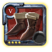 Expert's Assassin Shoes