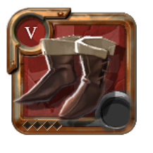 Expert's Assassin Shoes