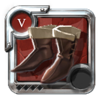 Expert's Assassin Shoes