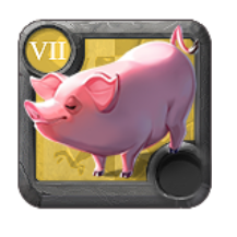 Cochon
