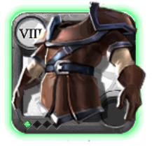 Veste de mercenaire du sage